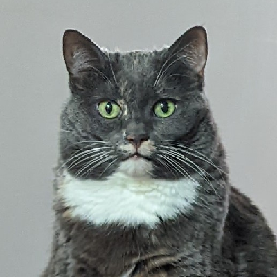 Avatar for Jason Bowen 🇺🇦