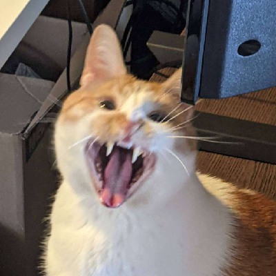 Avatar for Ricky 🐯