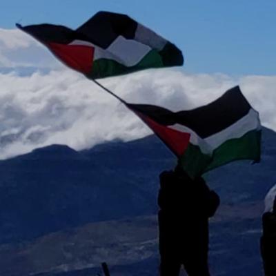 Avatar for ana 🇵🇸