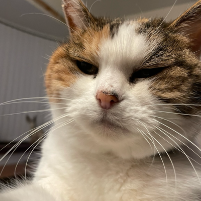 Avatar for ShadysDad