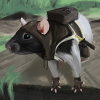 Avatar for Lou Fontaine