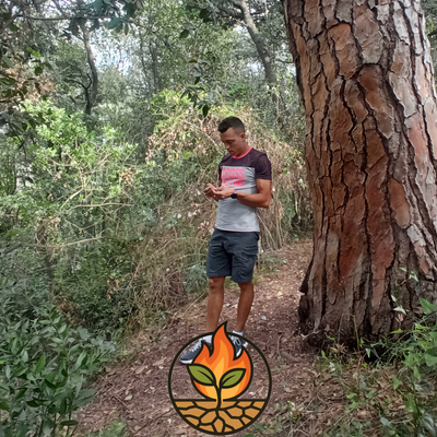 Avatar for David Salesa 🌱