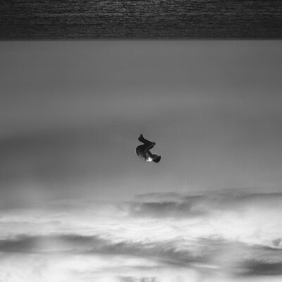 Avatar for Scott Campbell