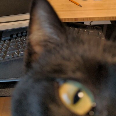 Avatar for Olga Lovick (she/her)