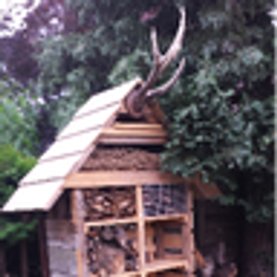 Avatar for naturzukunft