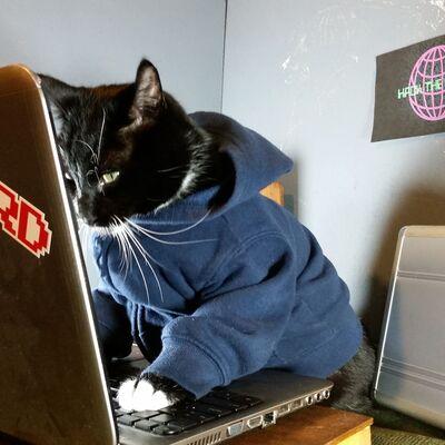 Avatar for Curated Hacker News