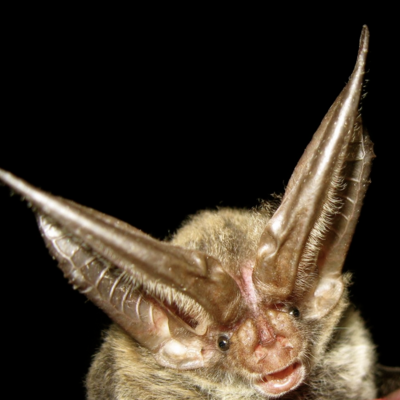 Avatar for Vanessa Rojas