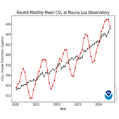 Avatar for Richard Ashwell