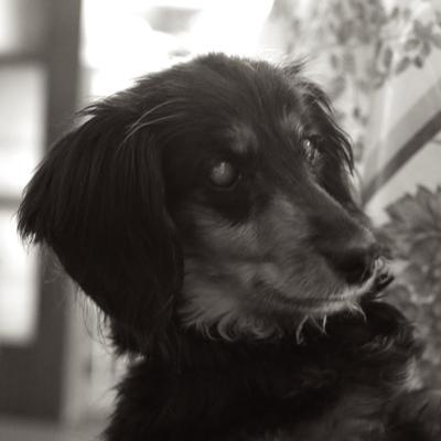 Avatar for Satoru Hasegawa