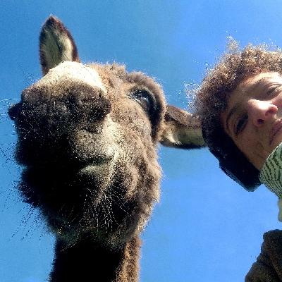 Avatar for Solène de Montmarin