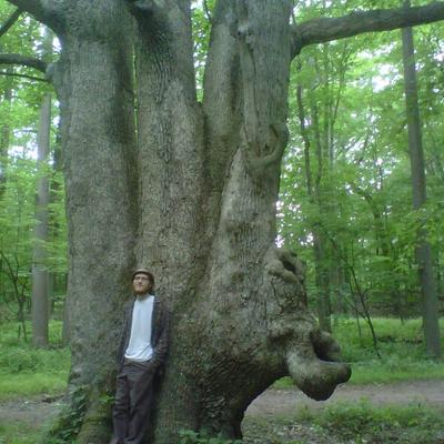 Avatar for lovingisliving