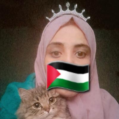 Avatar for Israa 🌿🇵🇸