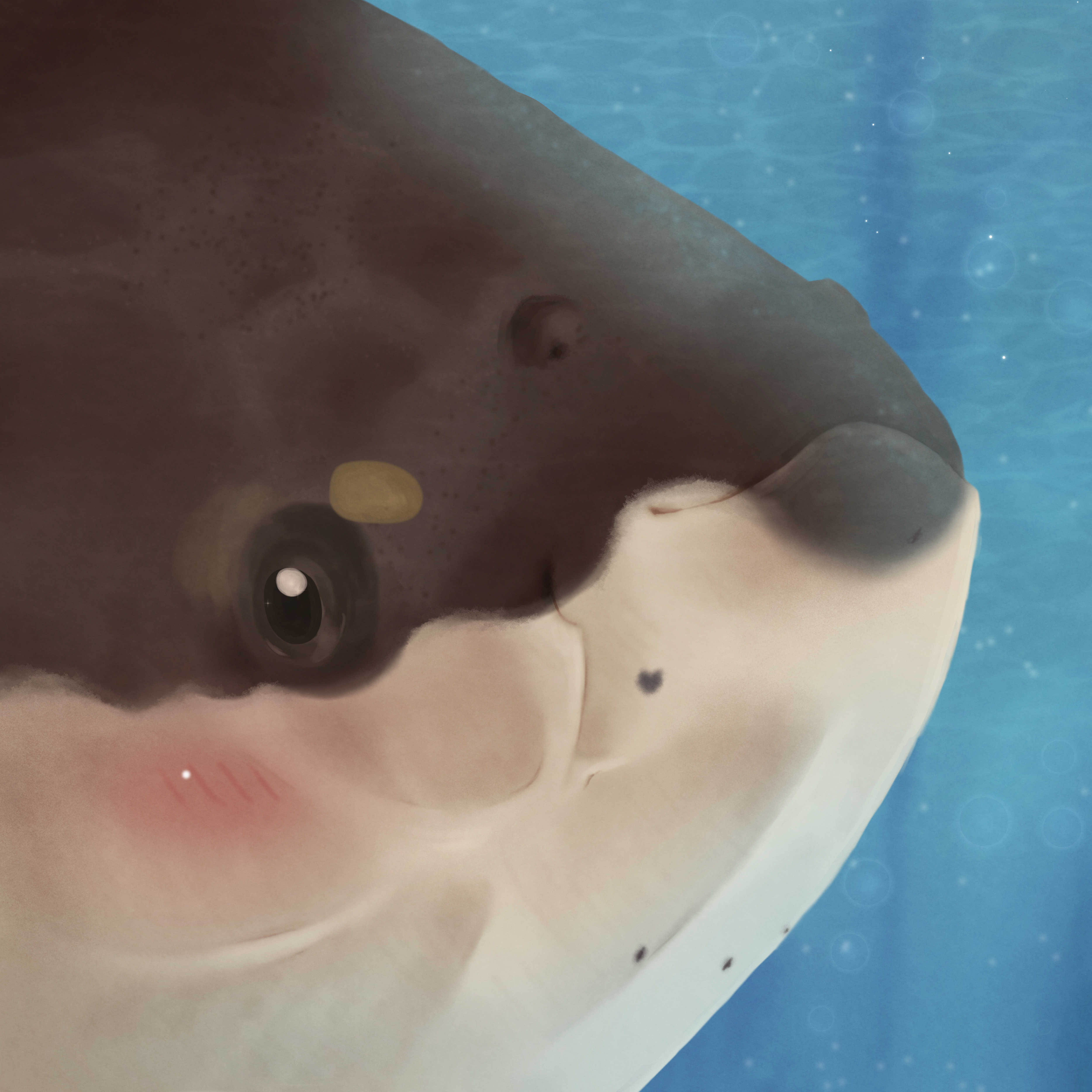 Avatar for FishFins