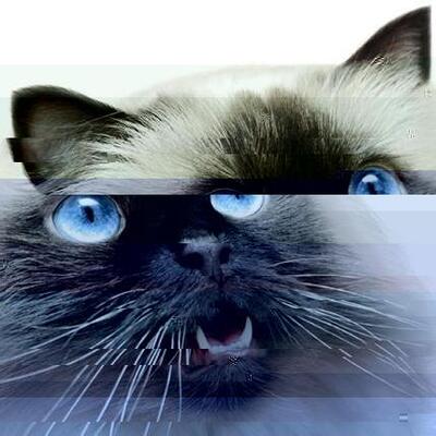 Avatar for Mini