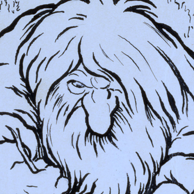 Avatar for Skjeggtroll
