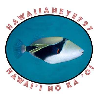 Avatar for hawaiianeye797 (Craig F)