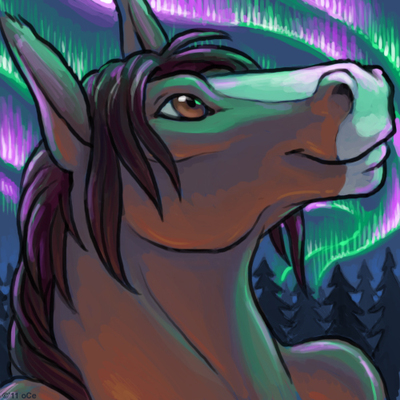 Avatar for horsedreamer