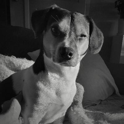 Avatar for Charlie