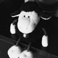 Avatar for PsychoticSheep