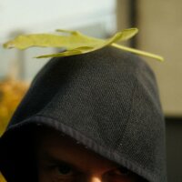 Avatar for Jan-Hendrik