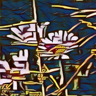 Avatar for SericR 🍁
