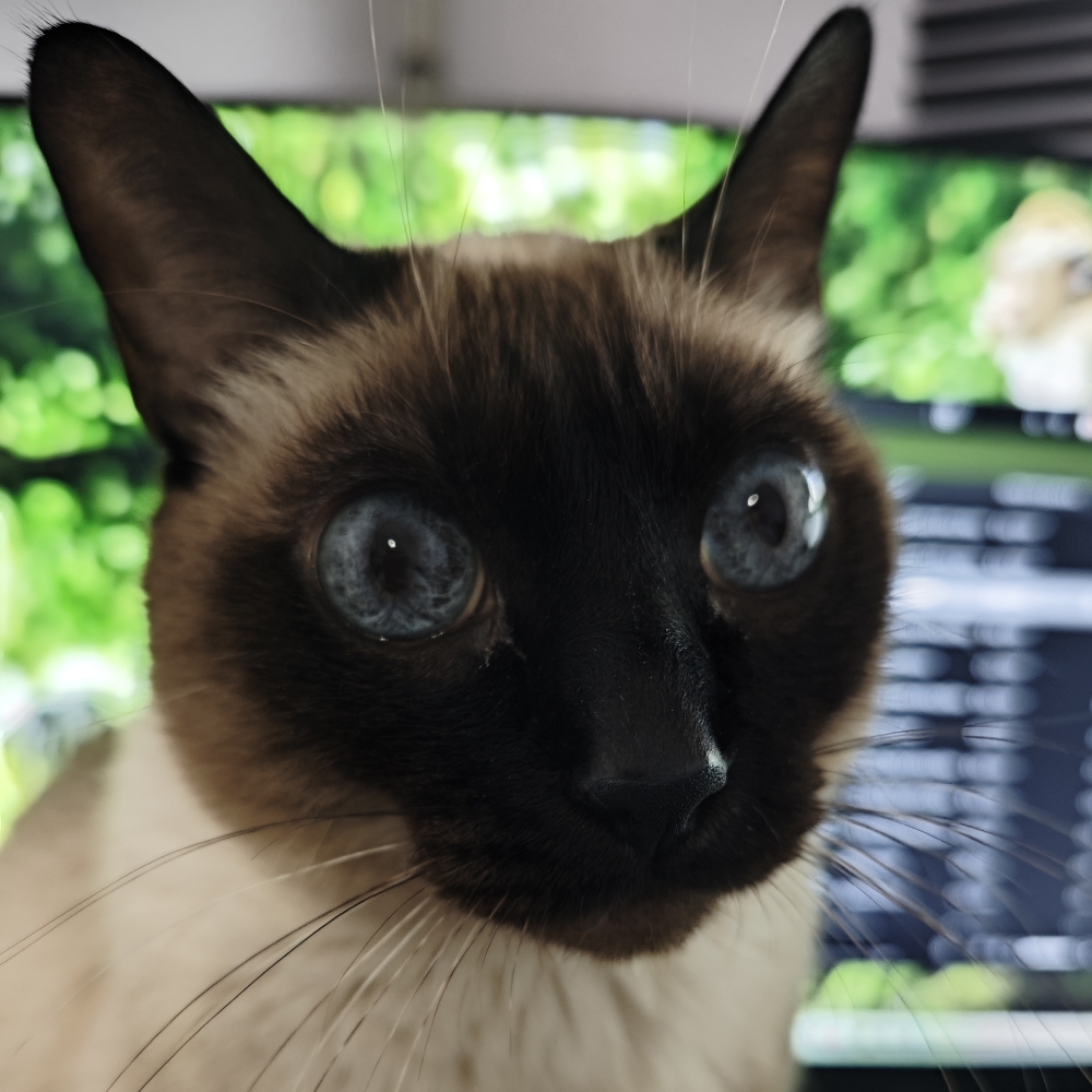 Avatar for Carlos