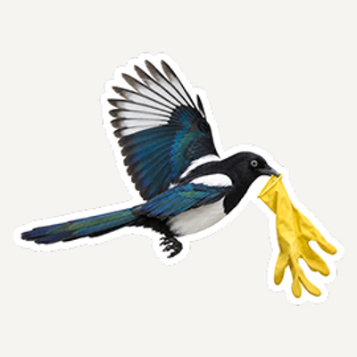 Avatar for kipple_app