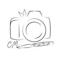 Avatar for Cendrine Marrouat - Photos
