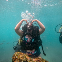 Avatar for My Little Gallery Of Memories