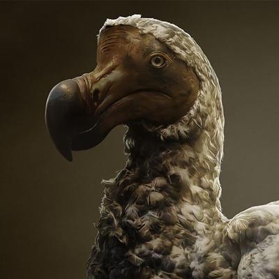 Avatar for The Dodologist