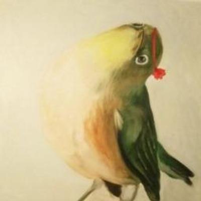 Avatar for musashimaru